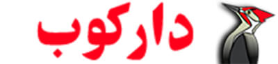طراحی سایت ، سئو و بهینه سازی سایت دارکوب