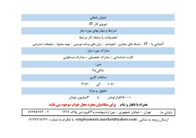 استخدام نیروی it در گروه   