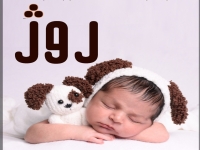 آتلیه عکس و فیلم روژ